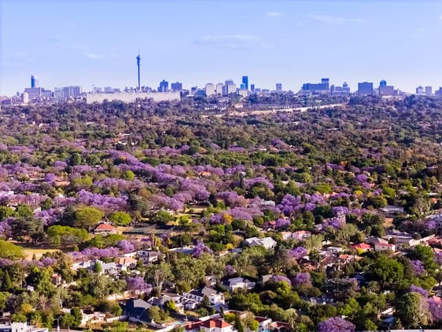 East London SEO Agency